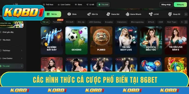 Các hình thức cá cược phổ biến tại 86BETCác hình thức cá cược phổ biến tại 86BET